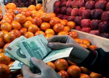 حضور پررنگ دلالان چالش جدی بخش کشاورزی است