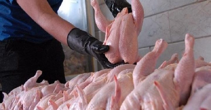 کشتار ۱۰ تن مرغ گرم مازاد بر نیاز هرمزگان/کمبودی در تامین مرغ نداریم