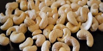 رئیس اتحادیه آجیل و خشکبار تهران مطرح کرد؛ ورود ۱۵ تا ۲۰ هزار تن بادام هندی قاچاق به کشور در سال/ ویلاسازی، تولید بادام زمینی را کم کرد