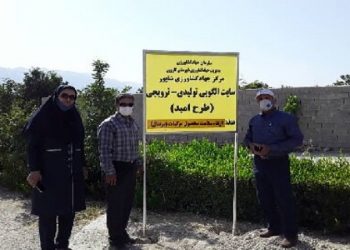 نخستین گواهی محصول سالم برای مرکبات در کازرون صادر شد