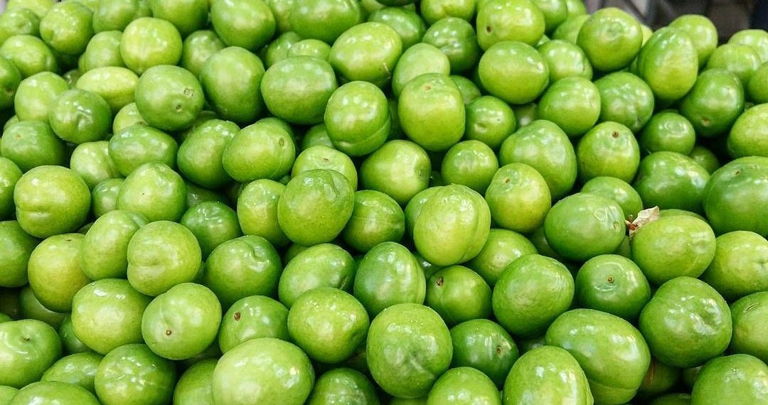 نوبرانه‎‌های ۱۰۰ هزار تومانی در اصفهان