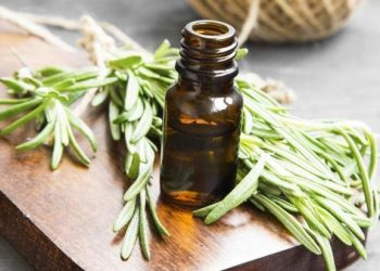 رزماری، سلاحی برای مبارزه با انواع سرطان‌ها