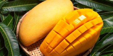 ورود مسافری انبه از مصر/ میوه‌های پروازی برای قشر خاصی است