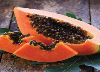 کشت میوه های استوایی هم وطنی شد