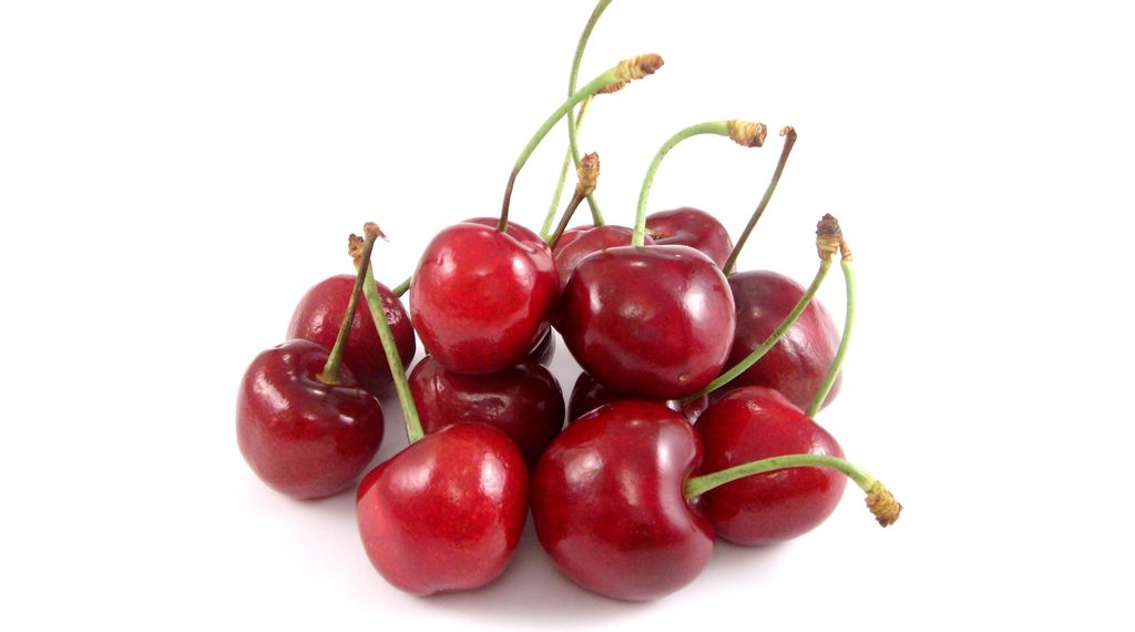 آغاز برداشت گیلاس در خراسان شمالی