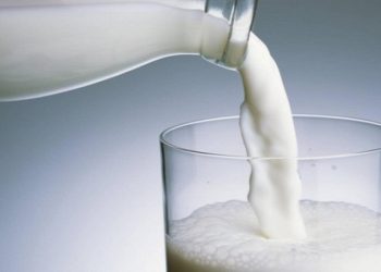 گفت‌وگو| قیمت شیر خام هنوز تغییر نکرده است