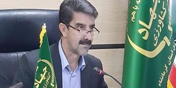 رئیس سازمان جهاد کشاورزی استان کرمانشاه: سالانه بیش از چهار میلیون تن محصولات کشاورزی در کرمانشاه تولید می‌شود