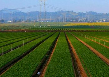 کاداستر اراضی در دوره ریاست رئیسی در قوه قضائیه پیشرفت کرد