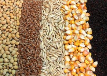 بیش از ۲ تن مکمل غذایی دام و طیور قاچاق در مراغه کشف شد