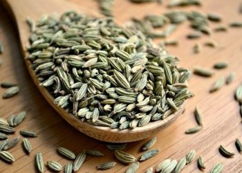 عوارض مصرف رازیانه؛ از تشدید بیماری صرع تا بلوغ زودرس و عفونت پوستی