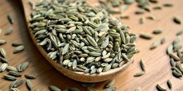 عوارض مصرف رازیانه؛ از تشدید بیماری صرع تا بلوغ زودرس و عفونت پوستی
