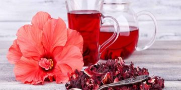 چای ترش ثروت نهفته در دل کویر/ ظرفیتی که با فرآوری، اقتصاد روستایی را رونق می‌دهد