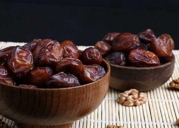 استان خوزستان مهم ترین استان خرماخیز کشور/ حمایت نخل داران برای فروش خرما با نرخ مناسب