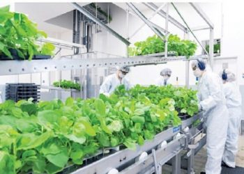 دانشمندان به ساخت واکسن‌های گیاهی روی آوردند