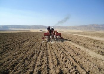 ۱۴۰ هزار هکتار از مزارع سیستان و بلوچستان زیر کشت پاییزه می‌رود