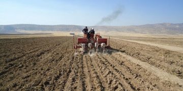 ۱۴۰ هزار هکتار از مزارع سیستان و بلوچستان زیر کشت پاییزه می‌رود