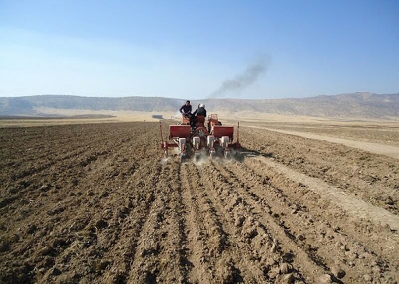 ۱۴۰ هزار هکتار از مزارع سیستان و بلوچستان زیر کشت پاییزه می‌رود