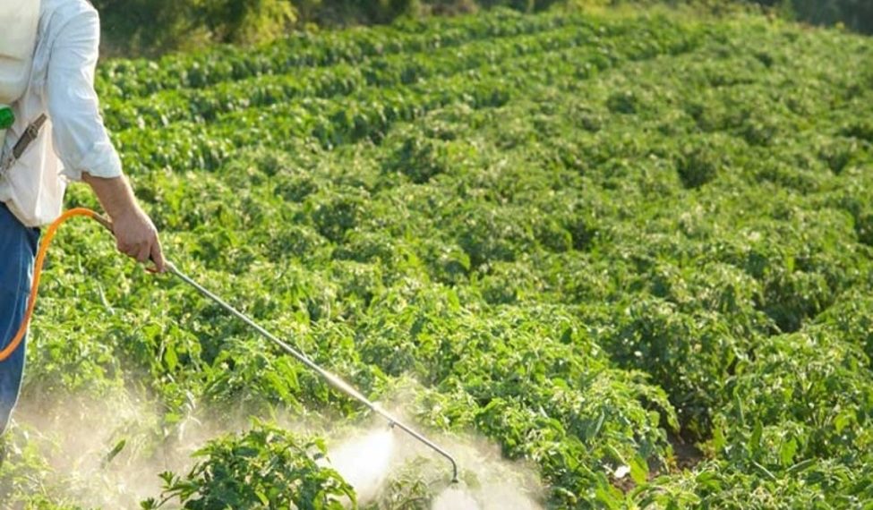 یادداشت| ارتقاء کیفیت آفت‌کش‌های شیمیایی اولویت اول برنامه‌ریزی مصرف بهینه سموم