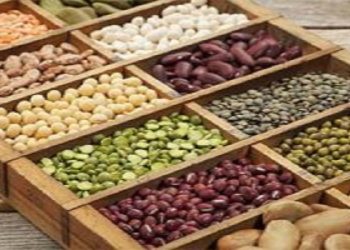 حبوباتی مفید برای پیشگیری از بیماری قلبی