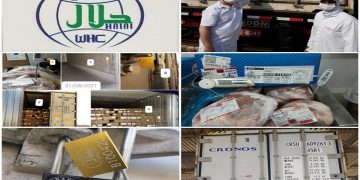 کشتارگاه فورچی فریگو به چرخه تولید گوشت حلال پیوست
