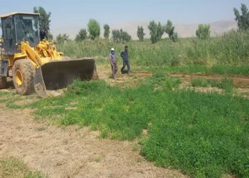 محصولات مزارع آبیاری شده با فاضلاب در شیراز از بین برده شد