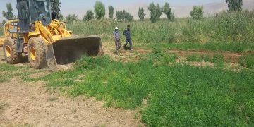 محصولات مزارع آبیاری شده با فاضلاب در شیراز از بین برده شد