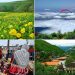 ظرفیت‌های هزار روستای گلستان پیشران مطمئن برای توسعه پایدار