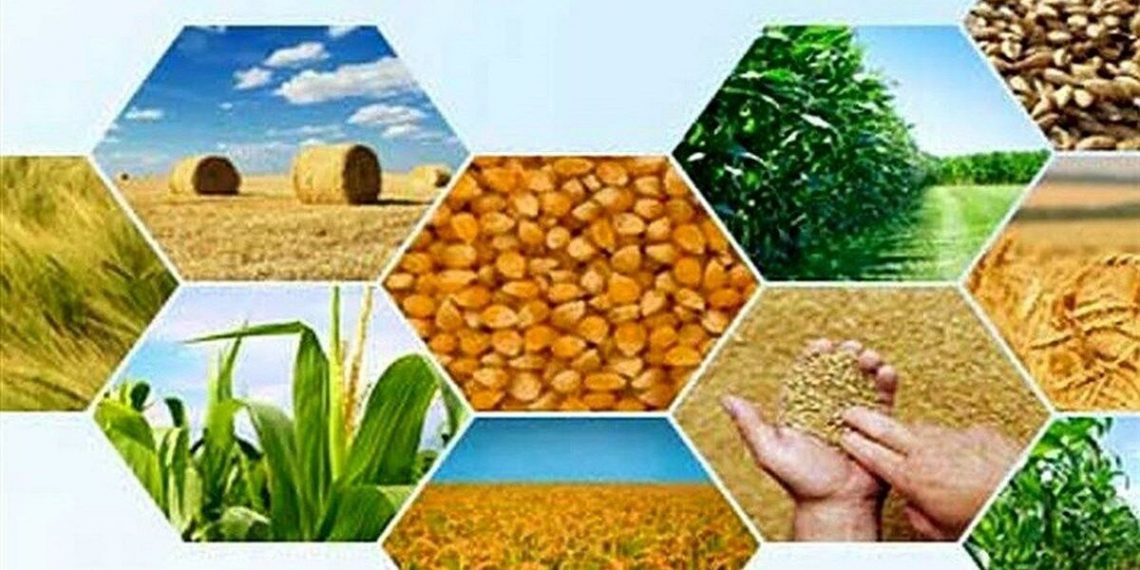 ۱۳۳ میلیون تن محصولات کشاورزی و دامی سال گذشته در کشور تولید شد