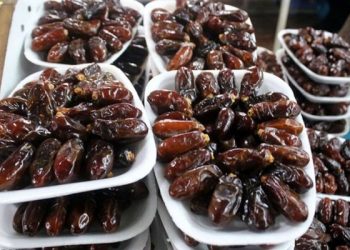 خرمای دشتستان در پی بازارهای جهانی/ صادرات به روسیه تسهیل شود