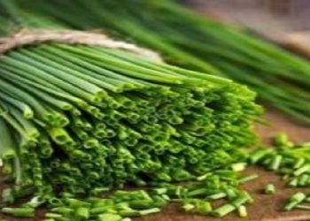 با این سبزی تمام عفونت های بدن را درمان کنید