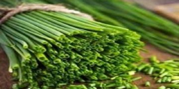 با این سبزی تمام عفونت های بدن را درمان کنید