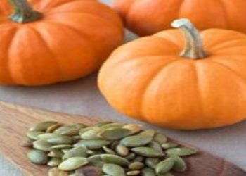 بایدها و نبایدها در مصرف تخم کدو