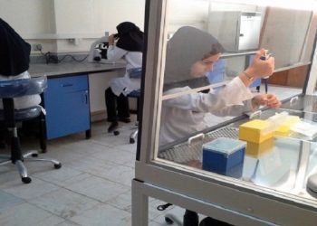 مدیر کل دفتر ارتباط با جامعه وزارت علوم مطرح کرد پیشنهاد ایجاد کارگروه صنایع غذایی در راستای صنعتی سازی ایده‌ها