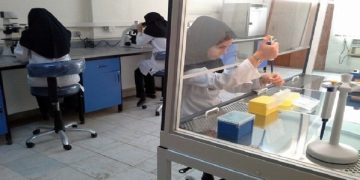 مدیر کل دفتر ارتباط با جامعه وزارت علوم مطرح کرد پیشنهاد ایجاد کارگروه صنایع غذایی در راستای صنعتی سازی ایده‌ها