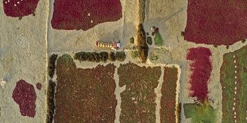 هارمونی رنگ‌ها در طبیعت افین