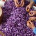 میزان خرید حمایتی زعفران در خراسان رضوی صفر است