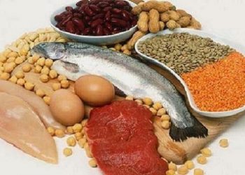 گزارش جدید انجمن قلب آمریکا؛ پروتئین های ضروری برای حفظ سلامت قلب و عروق را بشناسید