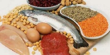 گزارش جدید انجمن قلب آمریکا؛ پروتئین های ضروری برای حفظ سلامت قلب و عروق را بشناسید