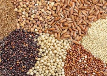 در نیمه اول امسال؛ میزان ذخایر راهبردی برنج کشور افزایش یافت