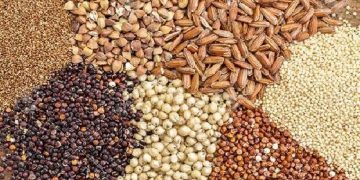 در نیمه اول امسال؛ میزان ذخایر راهبردی برنج کشور افزایش یافت