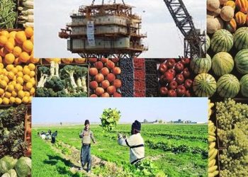 مجری خوب و پرجرات کم داریم