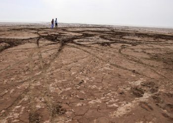 مدیرکل منابع طبیعی استان: استان کرمان سالانه ۸ میلیارد دلار خاک از دست می دهد