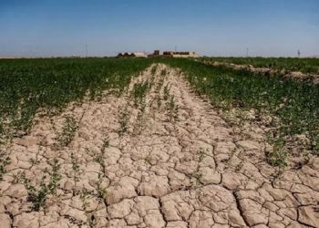 معاون وزیر جهاد: حفاظت از خاک پیش‌نیاز توسعه پایدار سرزمین و افزایش تولید است