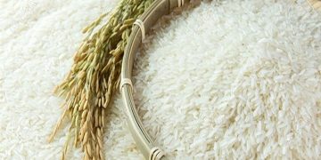 افزایش ۱۰ درصدی هزینه واردات برنج و روغن از ۱۳ دی