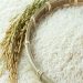 افزایش ۱۰ درصدی هزینه واردات برنج و روغن از ۱۳ دی