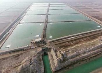 بررسی چالش های زیر ساخت مجتمع پرورش میگو یکدار غربی جاسک