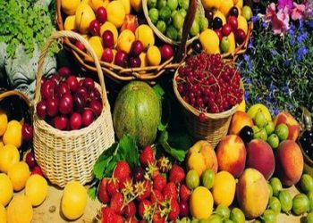فراوانی و ثبات قیمت میوه در بازار/نرخ اجاره غرفه از عوامل افزایش قیمت‌