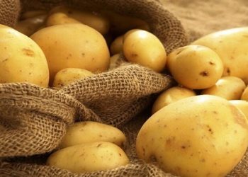 چرا سیب زمینی گران شد؟