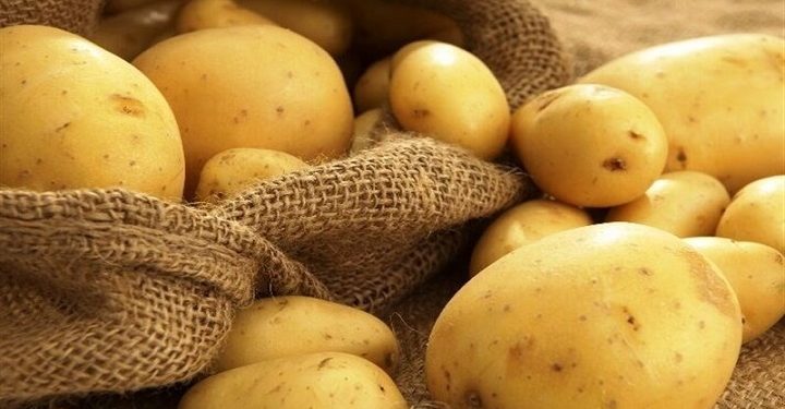 چرا سیب زمینی گران شد؟