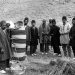 پهلوی به روایت پهلوی| بودجه هنگفتی که محمدرضا با آن، کشاورزی را به خاک سیاه نشاند